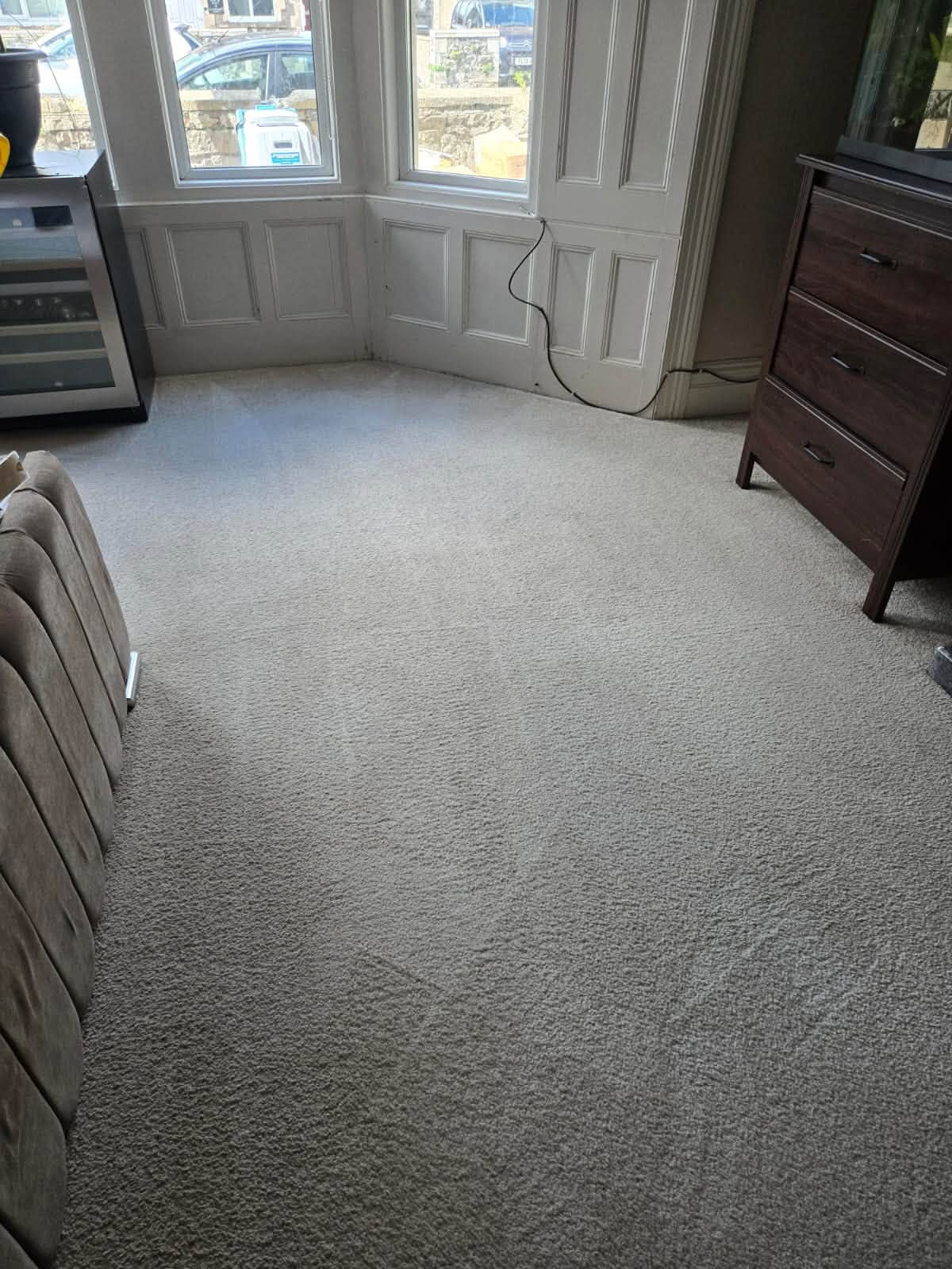 Freshly cleaned carpet in a bright room